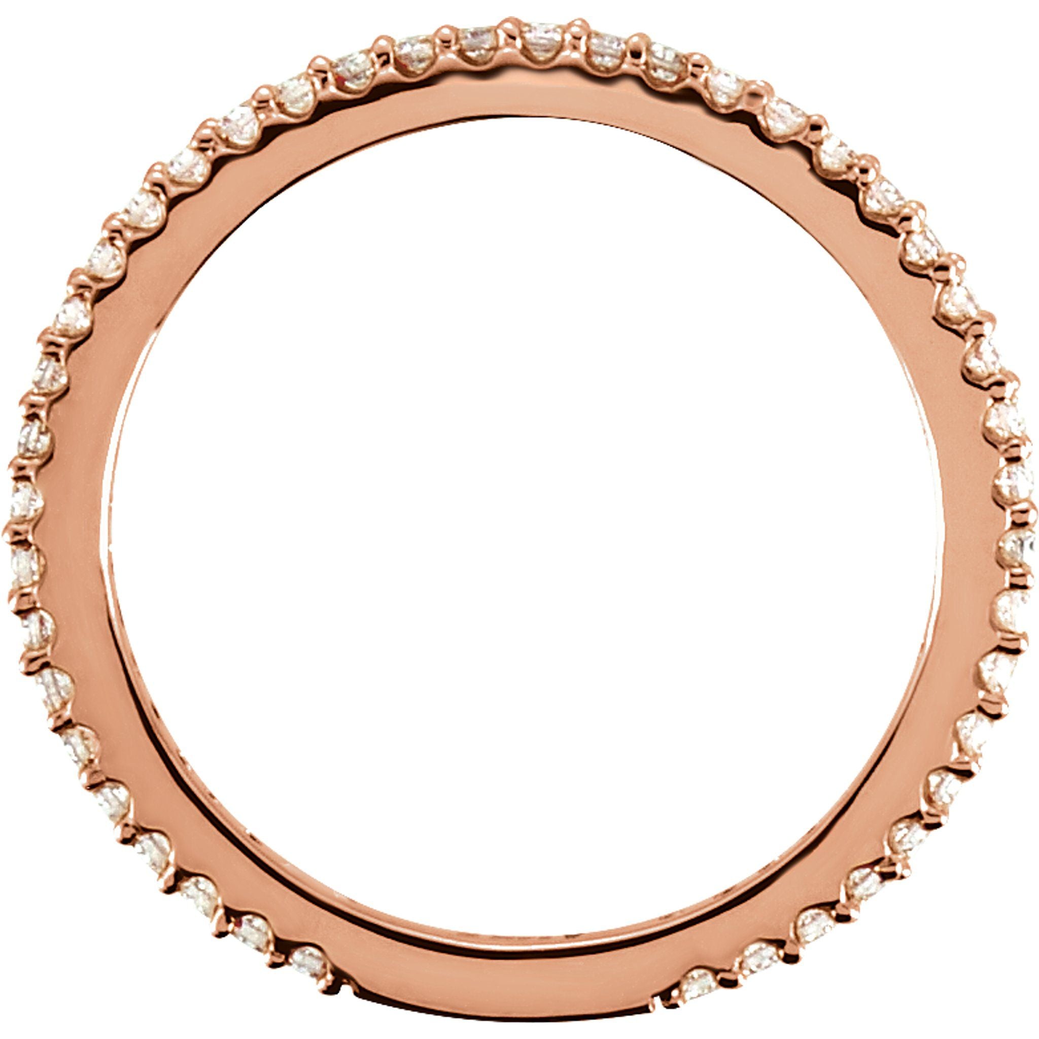 12719276.jpg